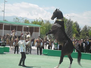  Orta Asya'da Türk halkları arasında özellikle Türkmenistan'da yaygındır.