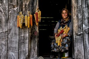 Giresun'dan Fotoğraf:Fatih Konanç