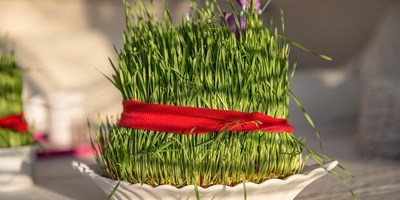 Asırlardır yaşatılan nevruz geleneği: "Semeni"