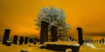 Dünyanın en büyük Türk- İslam mezarlığı:Ahlat Selçuklu Mezarlığı