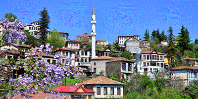 Doğu Karadeniz'in Safranbolusu misafirlerini bekliyor