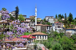 Trabzon'un Akçaabat ilçesinde, 1988'de büyük bölümü sit alanı ilan edilen ve barındırdığı tarihi konaklarla "Doğu Karadeniz'in Safranbolusu" olarak nitelendirilen Ortamahalle, yeni turizm sezonunda misafirlerini ağırlamaya hazırlanıyor