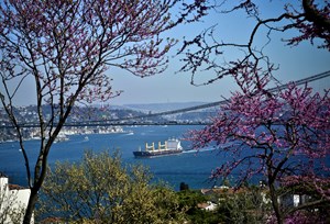 Osmanlı kültüründe de çok önemli yeri olan erguvan adına 14-19. yüzyıllar arasında şenlikler düzenlenmiş, "erguvan cemiyeti", ''erguvan faslı'', ''erguvan bayramı'' gibi isimlerle de anılmış