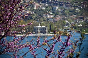 Zaten eşsiz bir manzarası olan İstanbul Boğazı'nın erguvanlarla mora bürünmüş hali kendisine bir kez daha hayran bıraktı.