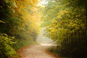 "Bosna-Hersek'te Sonbahar"