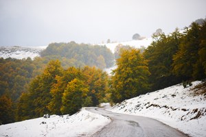 "Bosna-Hersek'te Sonbahar"