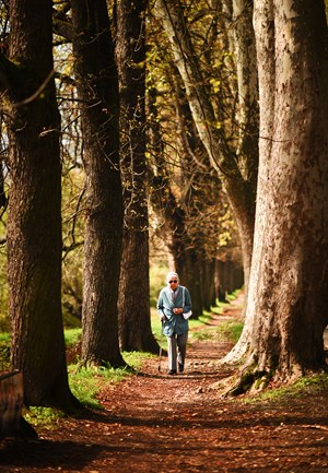 "Bosna-Hersek'te Sonbahar"