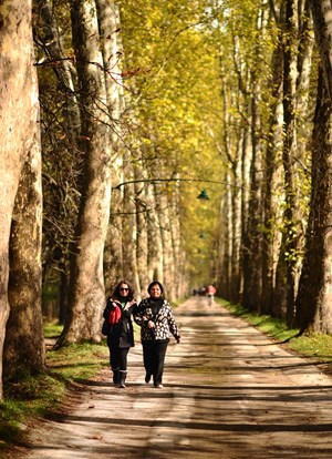 "Bosna-Hersek'te Sonbahar"