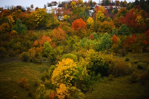 "Bosna-Hersek'te Sonbahar"