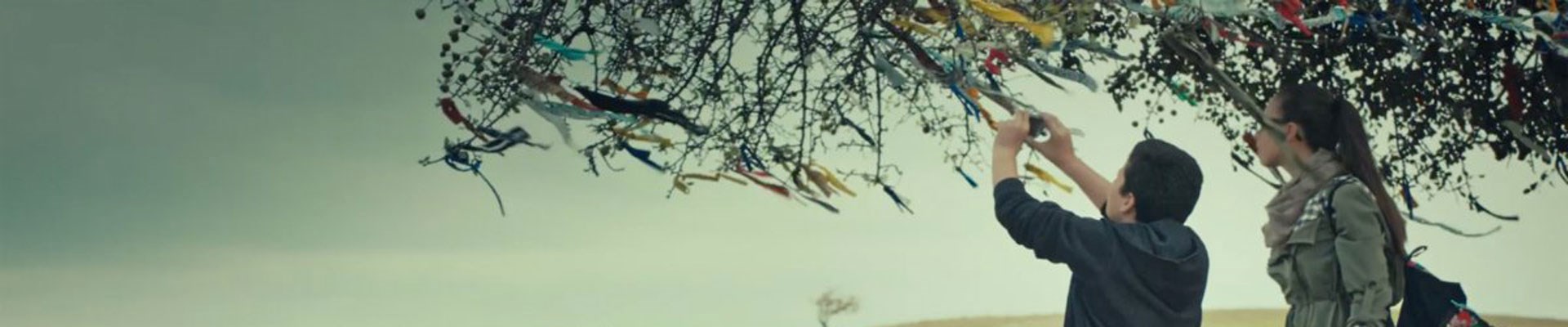 ev-sinemasi-kusagi-kirintilar