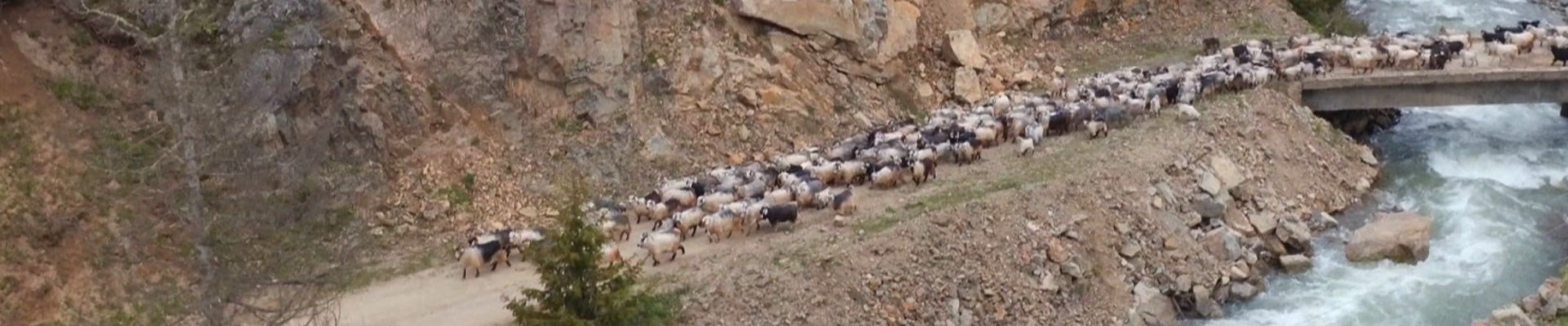 surunun-zor-yolculugu