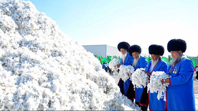 turkmenistanda-pamuk-uretimi