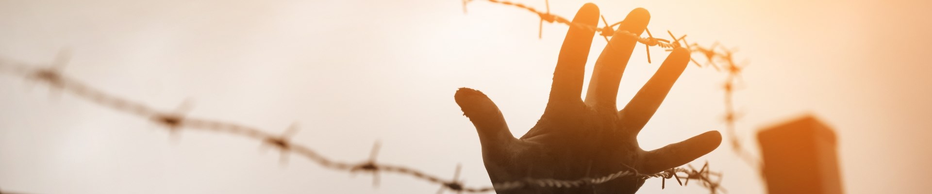 cercevede-yeni-hayat