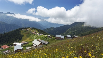 yaylamin-dili