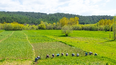 orda-bir-koy-var