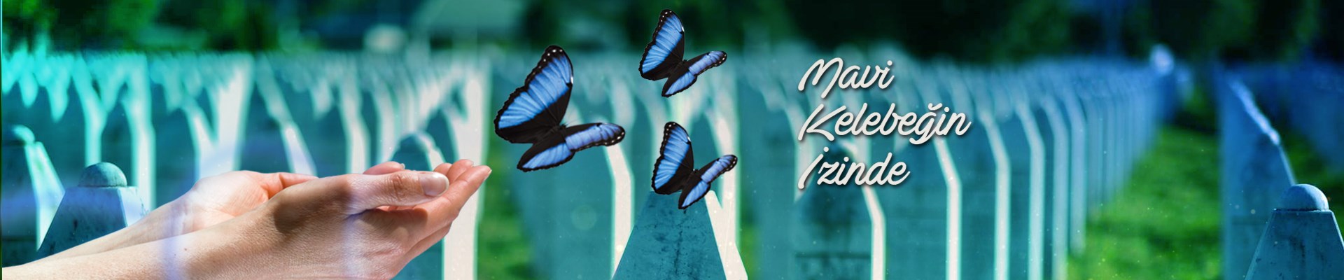 mavi-kelebegin-izinde-2019