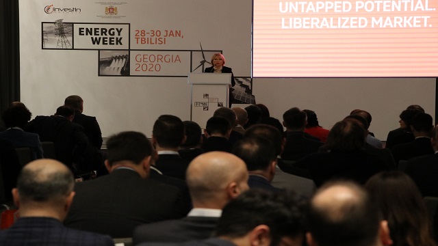 gurcistan-enerji-haftasi-2020-forumu-basladi