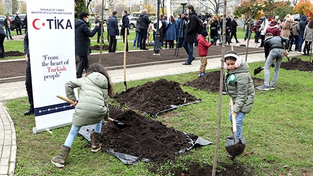 kievde-milli-agaclandirma-gununde-fidan-dikildi