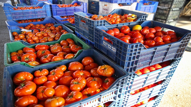 rusyanin-domates-kotasini-yukseltmesi-antalyadaki-ureticileri-ve-ihracatcilari