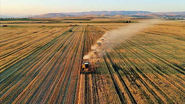 kazakistanda-bu-yil-22-7-milyon-hektar-tarim-alanina-ekim-yapilacak