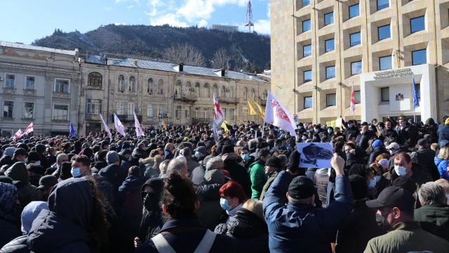 gurcistanda-ana-muhalefet-lideri-melianin-operasyonla-gozaltina-alinmasi-prote