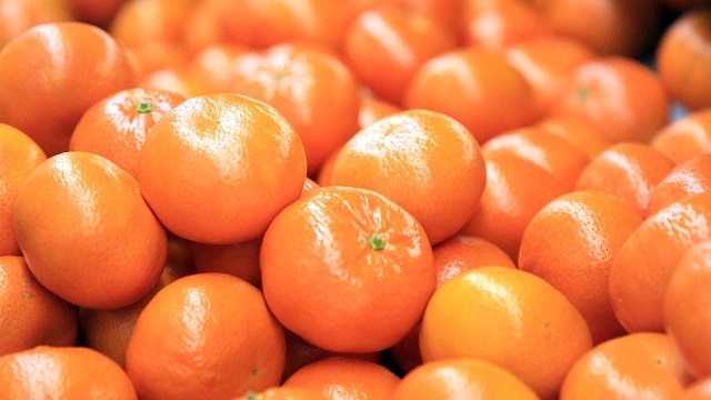rusyaya-turuncgil-ihracati-yilin-ilk-ceyreginde-yuzde-9-artisla-117-6-milyon-do