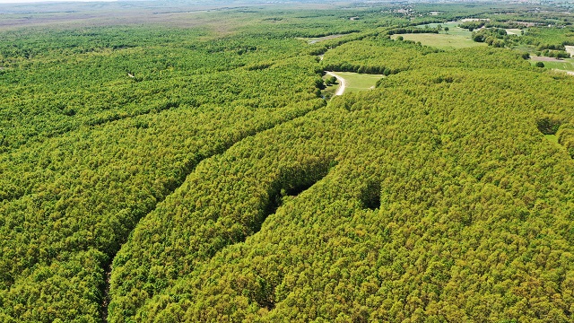 tekirdagda-kazak-golu-ve-ikiz-goller-misafirlerini-agirlamaya-basladi