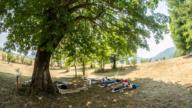 en-cok-yatan-kazaniyor-en-tembel-kisi-araniyor