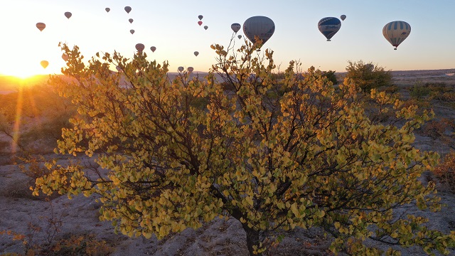 kapadokyaya-turist-ilgisi-sonbaharda-da-devam-ediyor