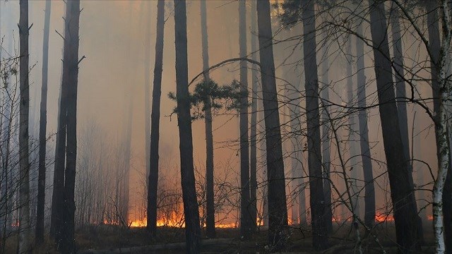 kktcde-orman-yanginina-neden-olanlara-yonelik-hapis-ve-para-cezasi-artirildi