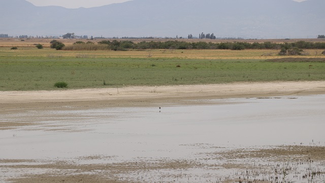 kktcdeki-kukla-sulak-alani-rehabilitasyonla-daha-fazla-kus-turune-ev-sahipligi