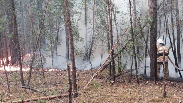 kazakistan-60-bin-hektarlik-alani-asan-orman-yanginiyla-mucadele-ediyor