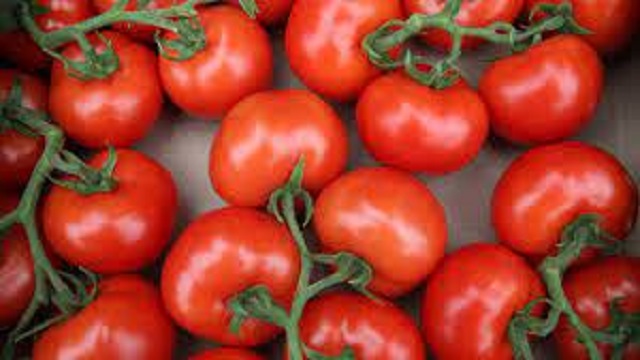 rusyanin-turkiyeden-domates-ithalati-kotasini-arttirmasi-ihracat-rakamlarina-o