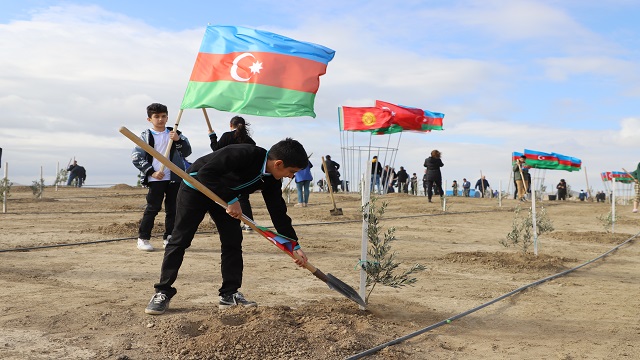 azerbaycanda-11-bin-111-fidan-toprakla-bulustu