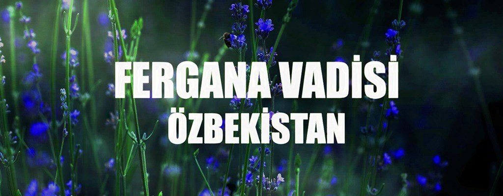 fergana-vadisi-ozbekistan