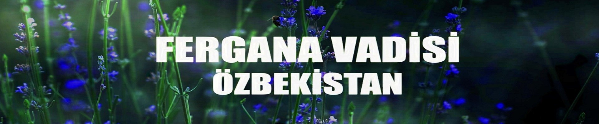 fergana-vadisi-ozbekistan