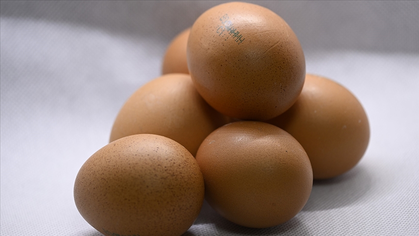 rusya-turkiyeden-1-5-milyon-adet-yumurta-ithal-etti