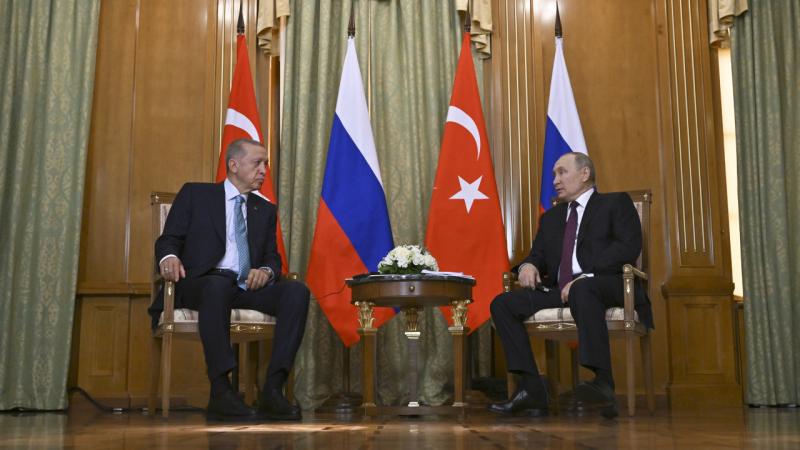 cumhurbaskani-erdogan-putin-ile-gorustu