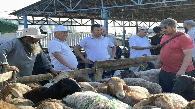 kirgizistanda-halk-arife-gunu-kurban-pazarina-akin-etti