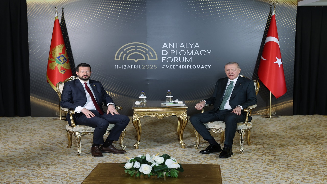 cumhurbaskani-erdogan-karadag-cumhurbaskani-milatovic-ile-bir-araya-geldi