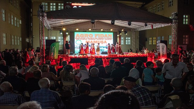 kosovanin-tek-turk-belediyesi-mamusada-uluslararasi-domates-festivali-duzenl