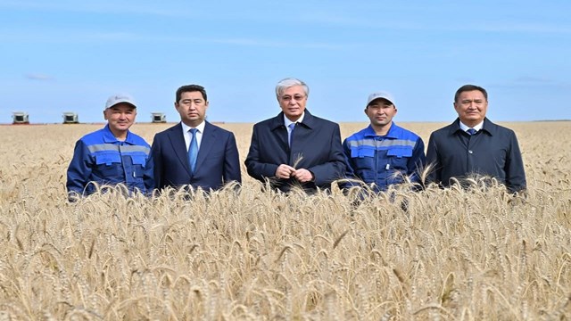 kazakistanda-baklagil-ve-yagli-tohumlar-hasadi-bereketli-gecti