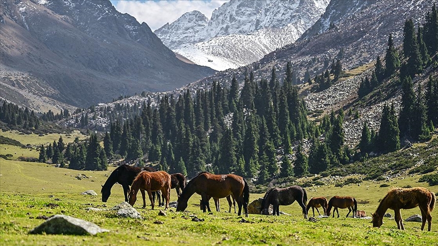 kirgizistanda-uluslararasi-dag-gunu-kutlandi