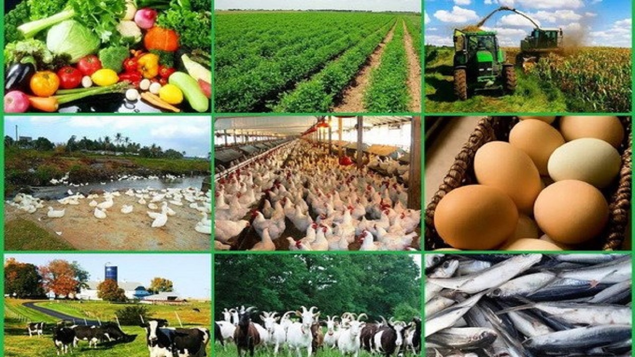 ozbekistan-da-tarim-bilimleri-akademisi-kuruldu