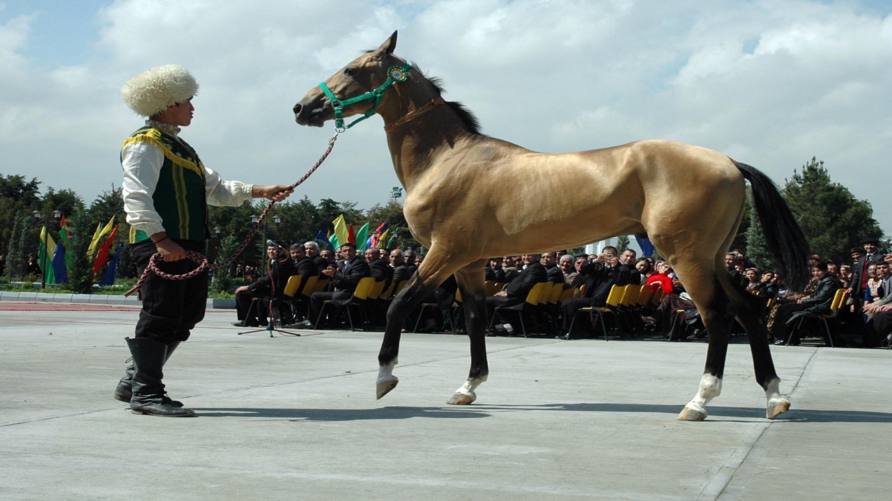 turkmenistanda-ahalteke-atlari-uluslararasi-konferansi-duzenlendi