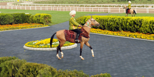 turkmenistan-ahal-teke-atlari-icin-unesco-39-ya-basvuracak